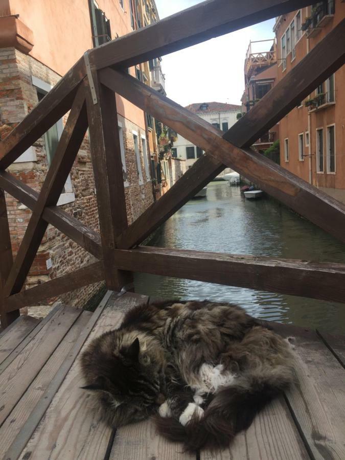 ונציה Tintoretto 1 Con Terrazza Sopra Il Tetto, 3 Bagni, 3 Grandi Camere Da Letto, Super Nuovo מראה חיצוני תמונה